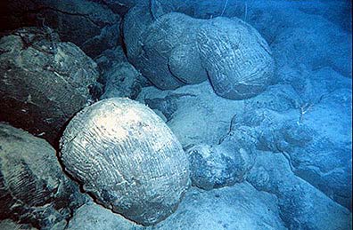 File:Pillow basalt crop l.jpg