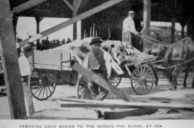 File:Galveston - 1900 bodies.jpg