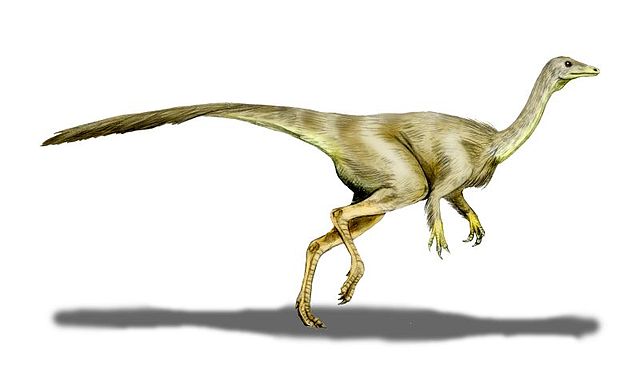 File:Struthiomimus BW.jpg