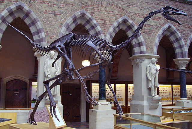 File:Struthiomimus.JPG