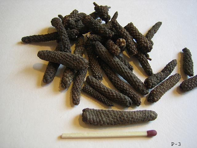 File:Piper longum.jpg