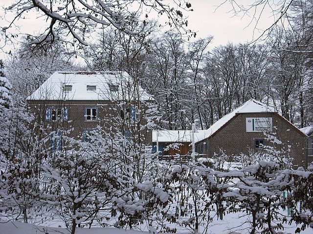 File:Donsbr&uuml;ggen sos kinderdorf niederrhein winter.jpg