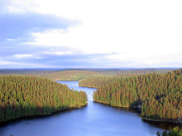 File:Repoveden Kansallispuisto Kesayonauringossa.jpg