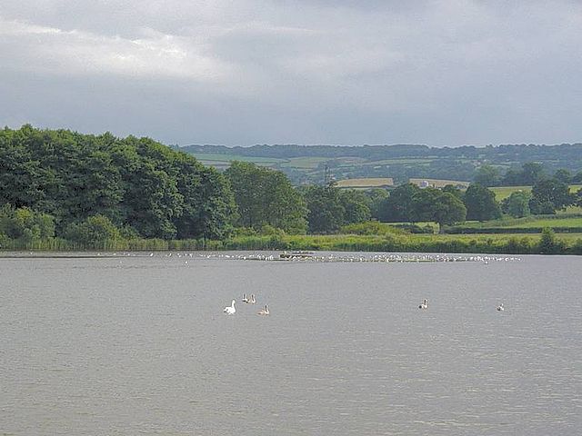 File:Pic herriots pool.jpg