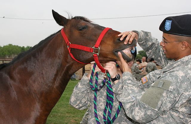 File:Army.mil-2008-04-18-100048.jpg