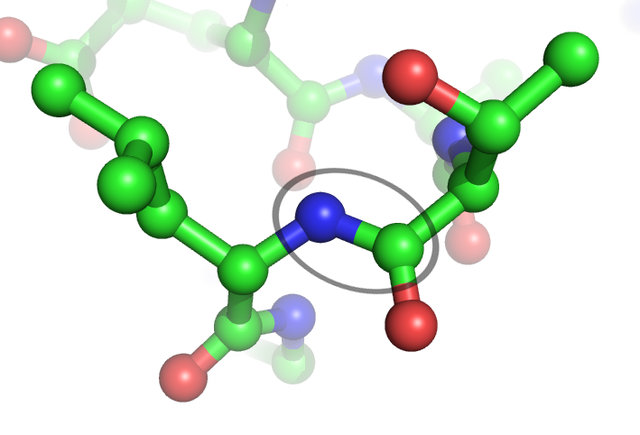 File:Peptide bond.png
