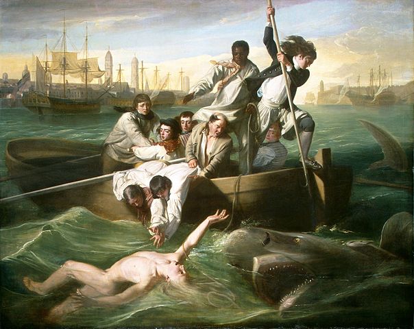 File:Watsonandtheshark-original.jpg