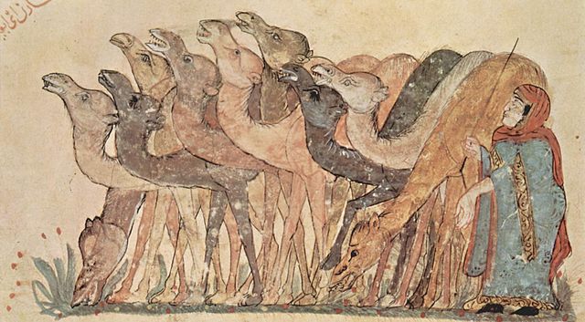 File:Yahy&acirc; ibn Mahm&ucirc;d al-W&acirc;sit&icirc; 004.jpg