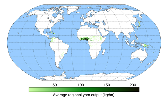 File:Yamoutput.png