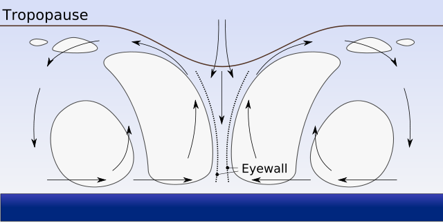 File:Hurricane profile.svg