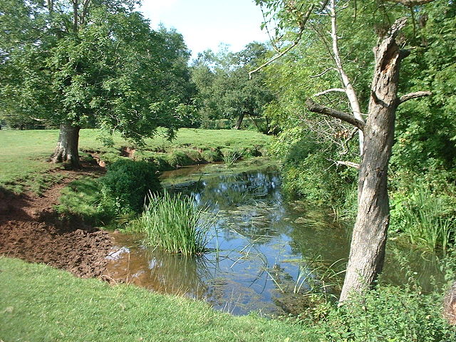 File:Smriver chew.JPG