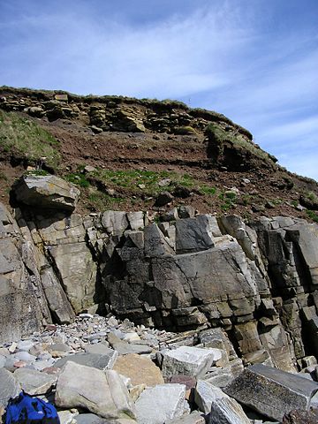 File:Rockhead1.jpg.JPG