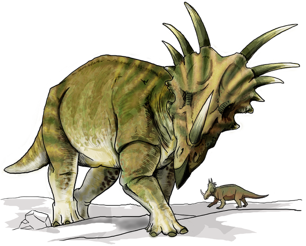 File:Styracosaurus dinosaur.png