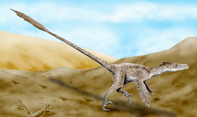 File:Velociraptor BW.jpg
