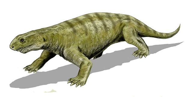File:Ennatosaurus BW.jpg