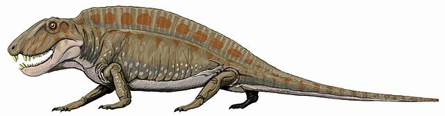 File:Sphenacodon222.jpg