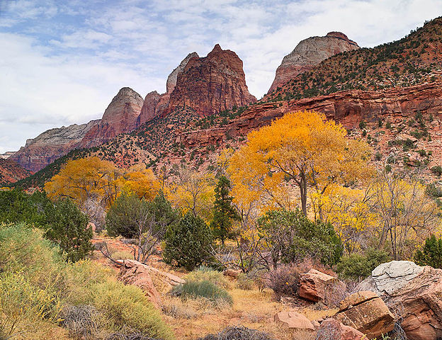 File:ZION ENTRANCE.jpg