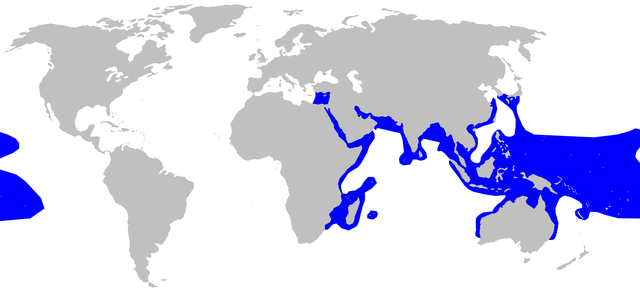 File:Carcharhinus melanopterus distmap.png