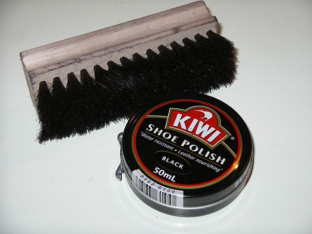 File:Kiwi with brush.jpg