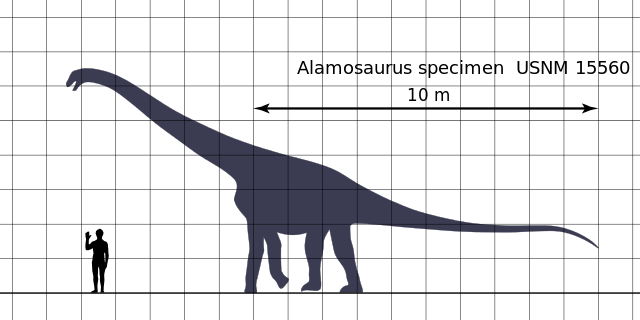 File:Alamosaurus Scale Chart Steveoc.svg