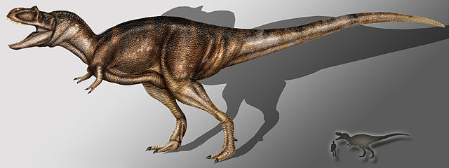 File:Albertosaurus sarcophagus copia.jpg