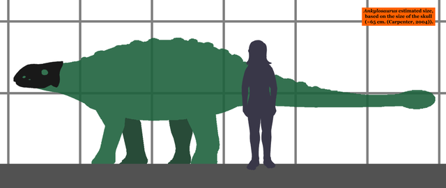 File:Ankylosaurus estimated size 01.png