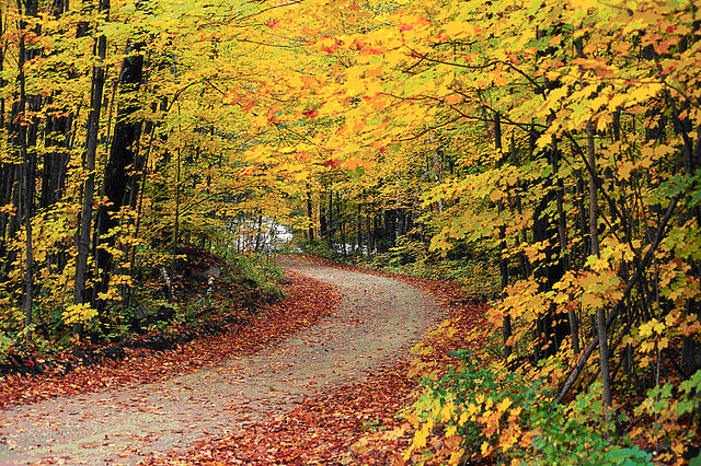 File:Hapgood Pond - Flickr - USDAgov.jpg