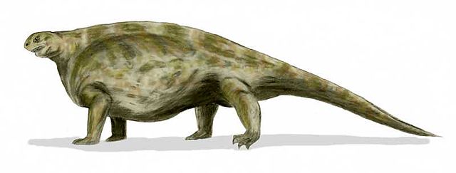 File:Cotylorhynchus BW.jpg