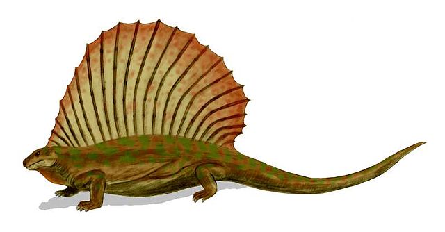 File:Edaphosaurus BW.jpg