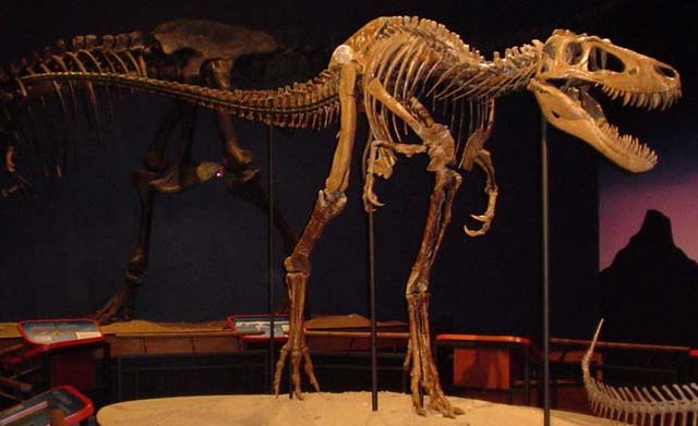 File:Jane TRex Burpee.jpg