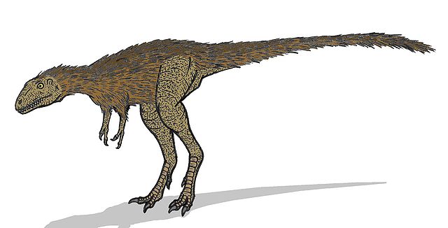 File:Young Tyrannosaurus rex 02.JPG