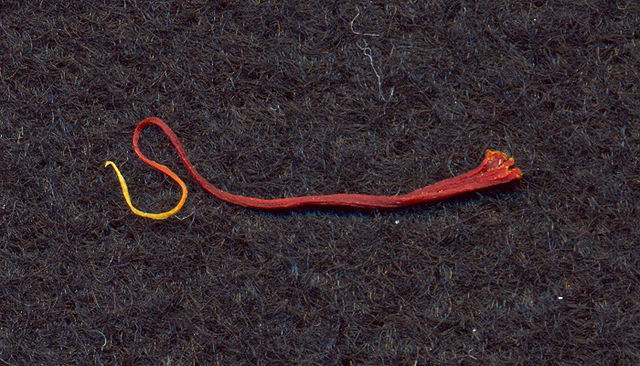 File:Red-crocus-thread-greek-v2.jpg