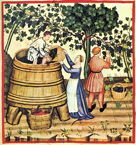 File:29-autunno,Taccuino Sanitatis, Casanatense 4182..jpg