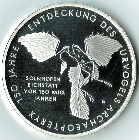 File:2011 150 Jahre Entdeckung des Urvogels Archaeopteryx Bildseite.jpg