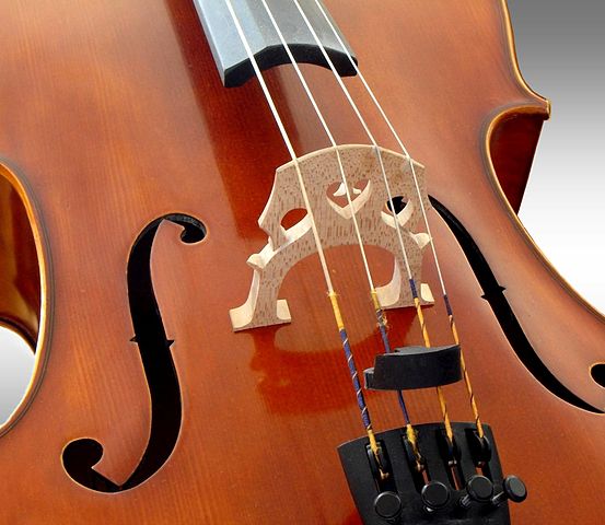 File:Cello bridge2.JPG