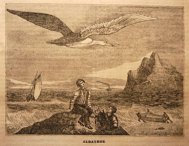 File:Albatroz - Panorama 1837.jpg
