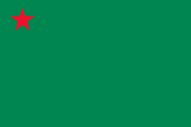 File:Flag of Benin (1975-1990).svg