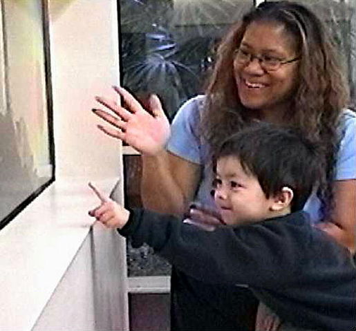File:Opening a window to the autistic brain.jpg
