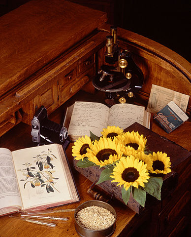 File:Botany.jpg