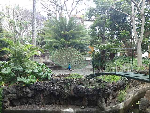 File:BotanicGardensinArucas.JPG
