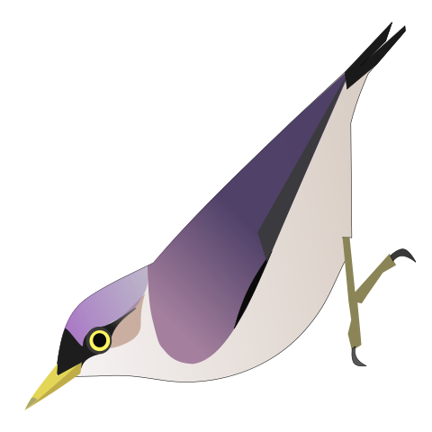 File:SittaSolangiae.svg