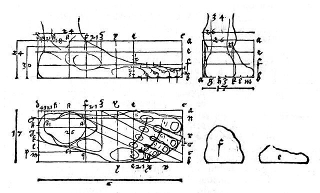 File:Durer foot.jpg