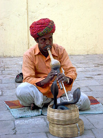 File:Charmeur de serpents &agrave; Jaipur (2).JPG