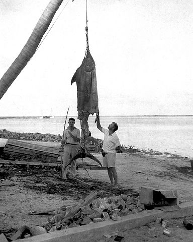 File:Ernest Hemingway and Henry Strater, Bahamas, 1935.jpg