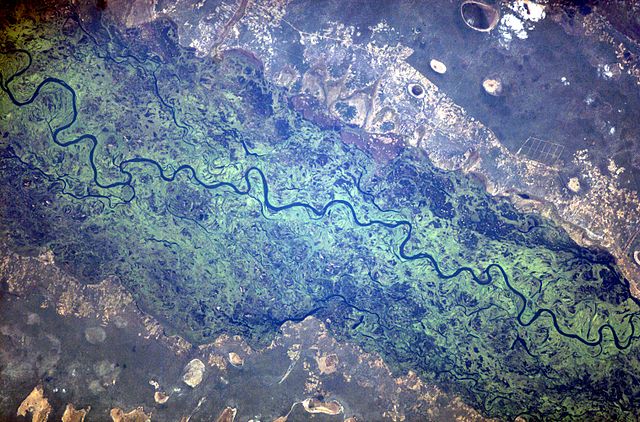 File:ISS009-E-7622- Zambezi river near Mongu.jpg