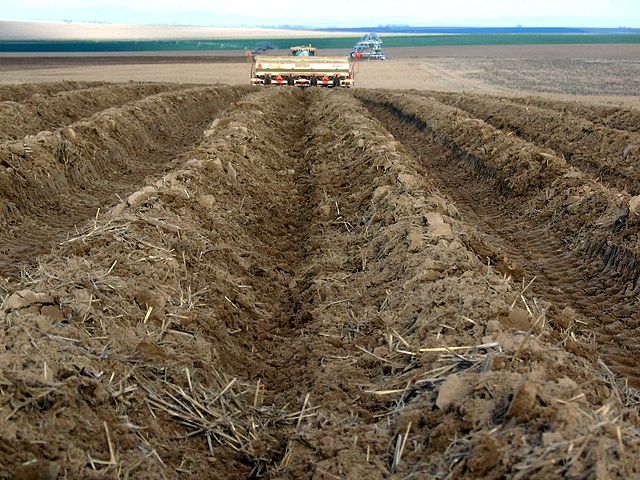 File:Potato planting machine.JPG