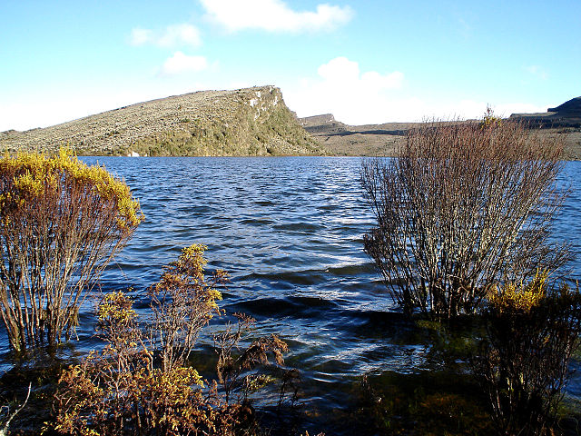 File:Paramo de sumapaz Bogota D. C.jpg