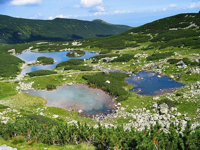 File:Kurtkowiec i czerwone.jpg