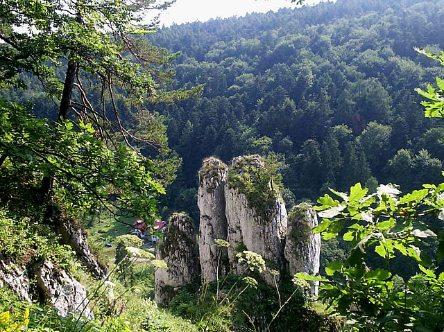 File:Biała Ręka Ojcowski PN.jpg