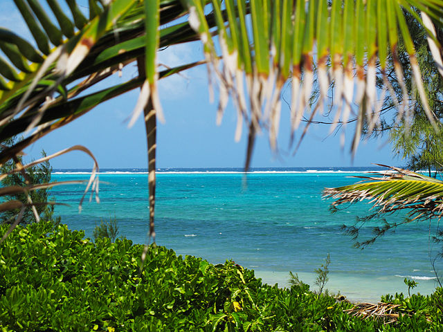 File:Inside the Reef Cayman.jpg